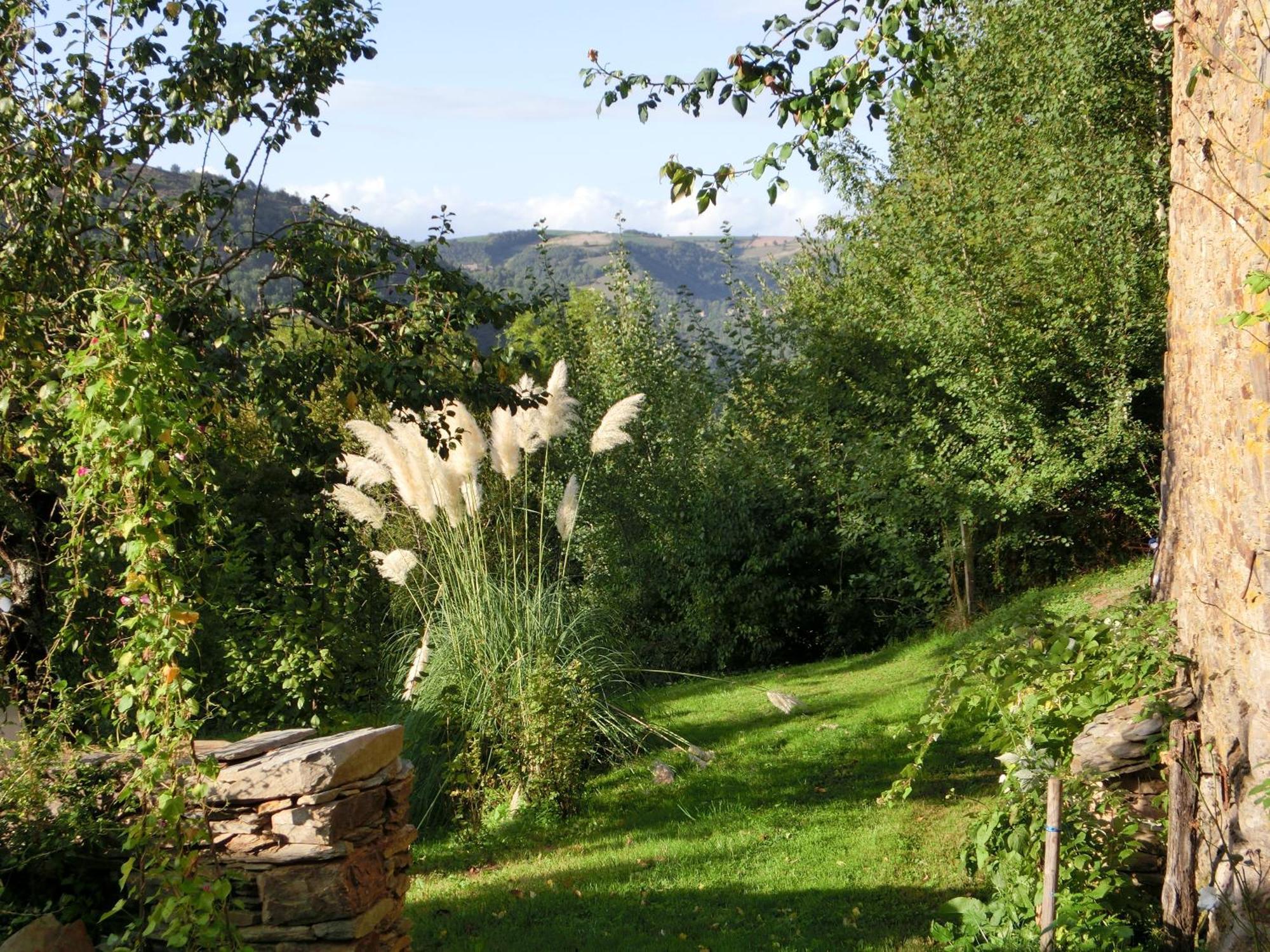 Hotel Domaine La Libaudie La Bastide-Solages Esterno foto